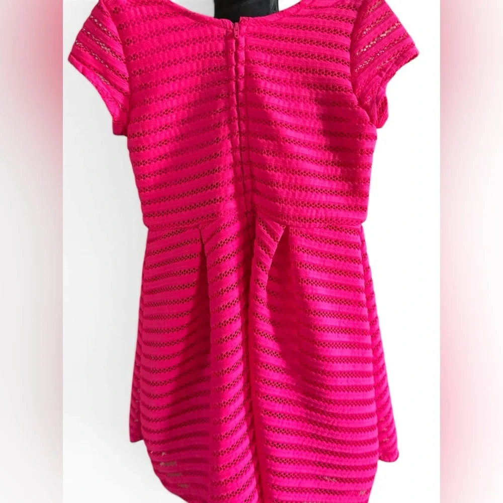 The Children’s Place Pink Lace Fit & Flare Dress Girls Size 8 10